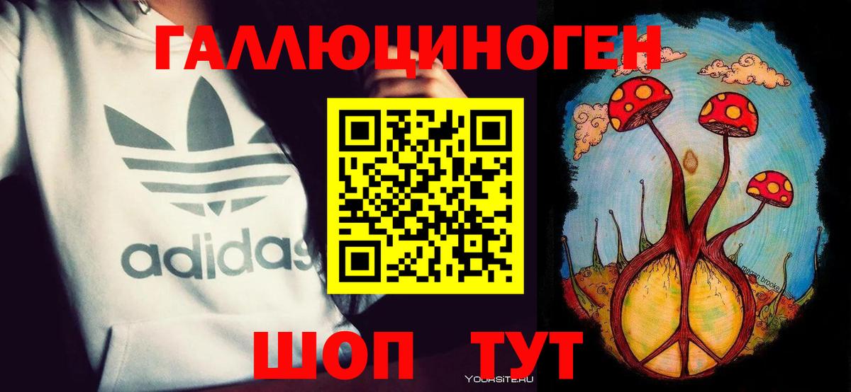 Псилоцибиновые грибы Psilocybine cubensis Советская Гавань