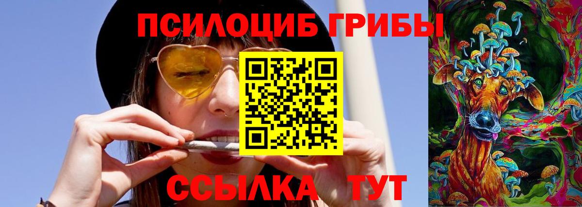 Галлюциногенные грибы Psilocybine cubensis  Вход с VPN  даркнет сайт  Псилоцибиновые грибы прущие грибы  Советская Гавань 